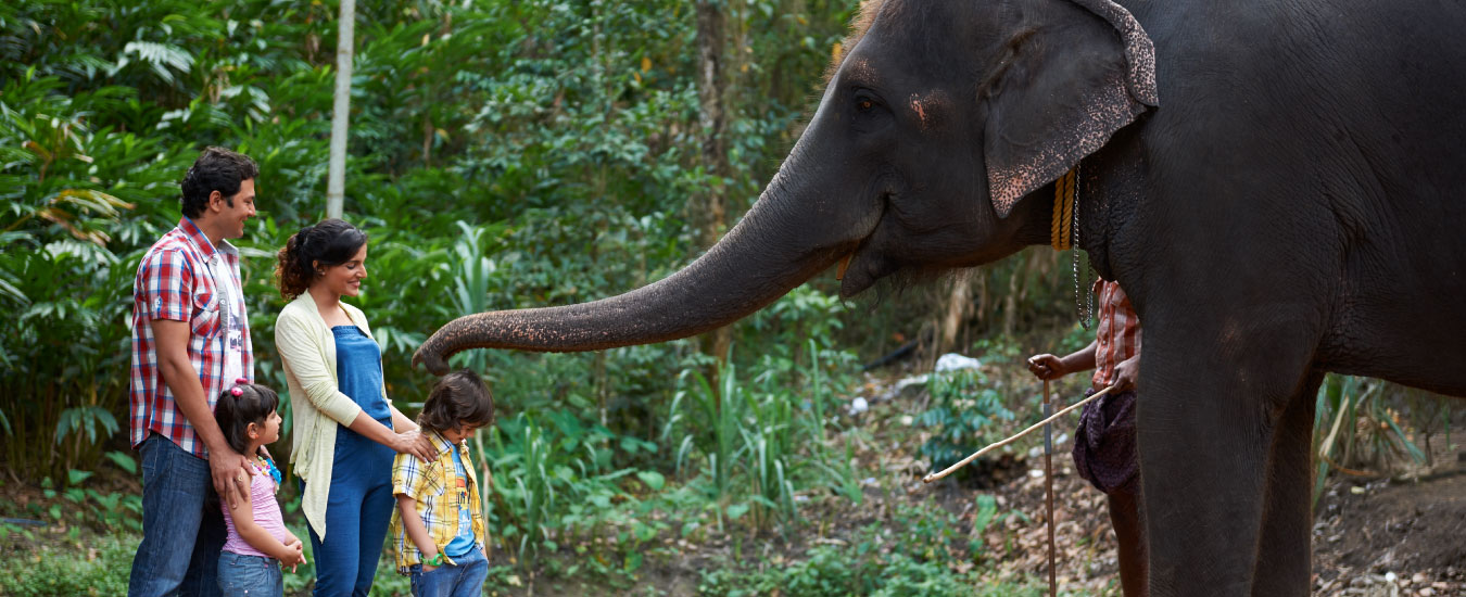 Elephant Rehab Centre